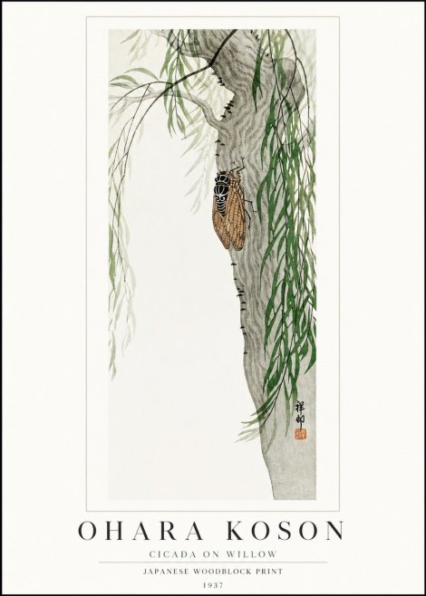 Ohara Koson Cicada on Willow No1 - Póster