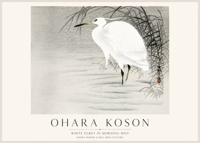 Ohara Koson White Egret in Morning Mist No1 - Póster