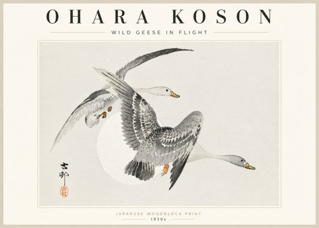 Ohara Koson Wild Geese in Flight I No5 - Póster