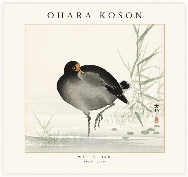 Ohara Koson Water Bird No1 - Póster