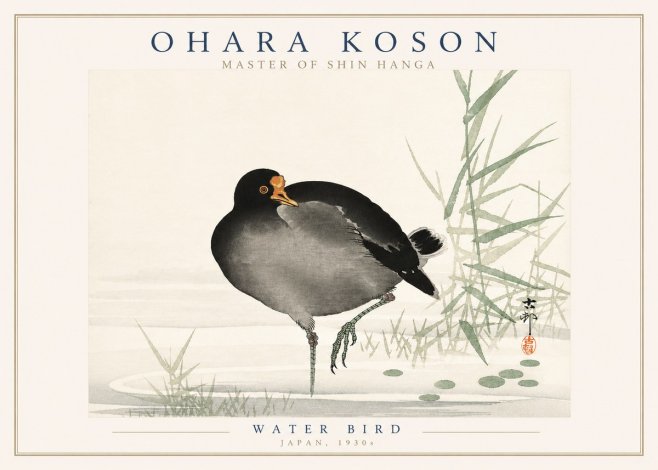 Ohara Koson Water Bird No3 - Póster