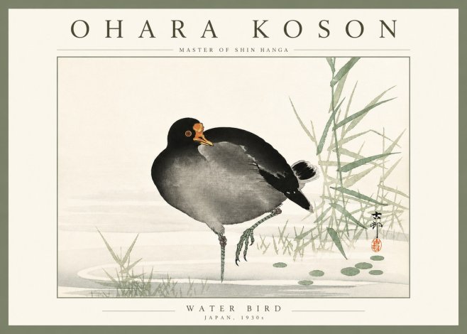 Ohara Koson Water Bird No4 - Póster