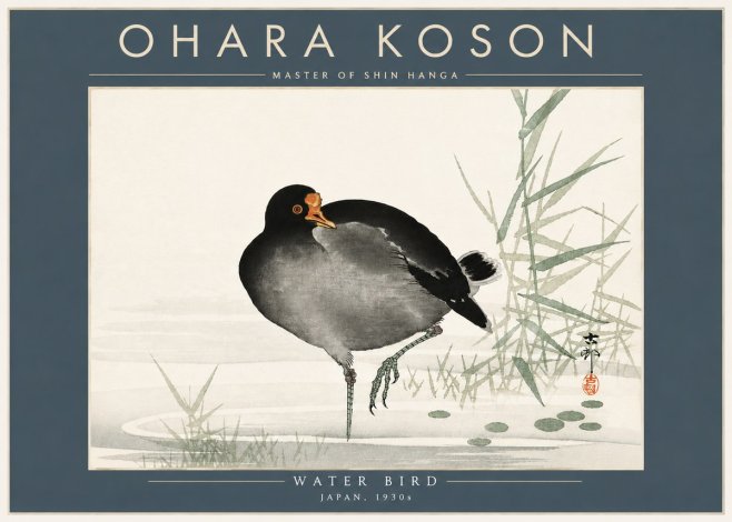 Ohara Koson Water Bird No5 - Póster