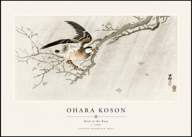 Ohara Koson Bird in the Rain No1 - Póster