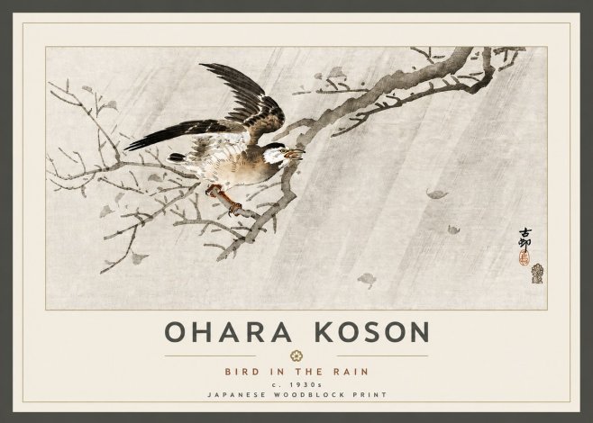 Ohara Koson Bird in the Rain No5 - Póster
