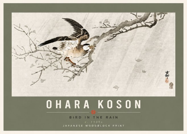 Ohara Koson Bird in the Rain No6 - Póster
