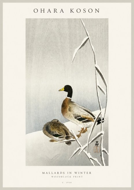 Ohara Koson Mallards in Winter No1 - Póster