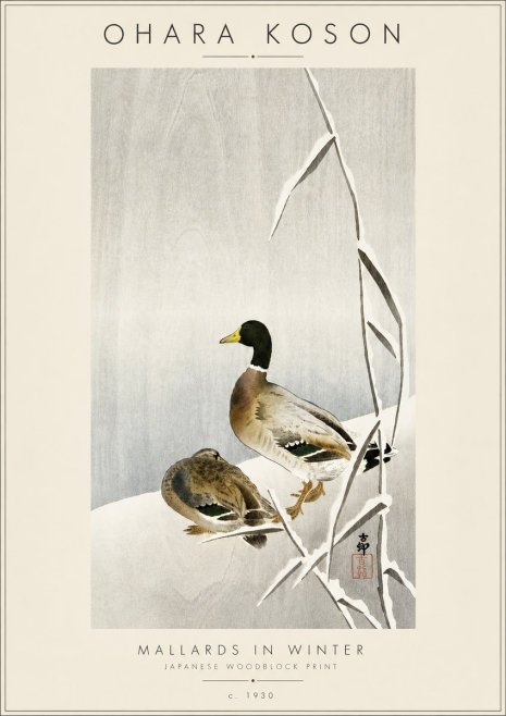 Ohara Koson Mallards in Winter No4 - Póster