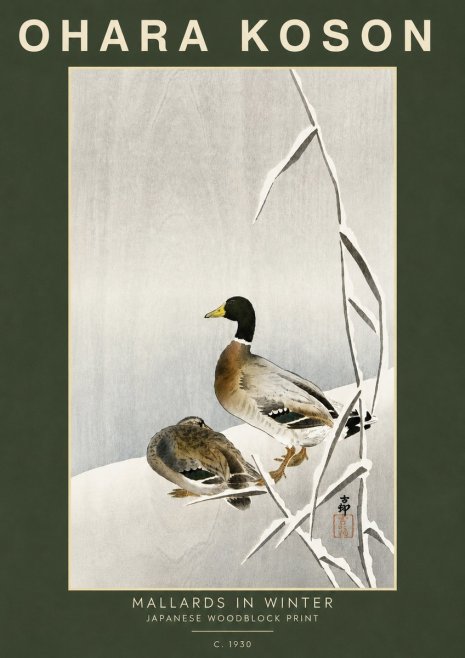 Ohara Koson Mallards in Winter No5 - Póster