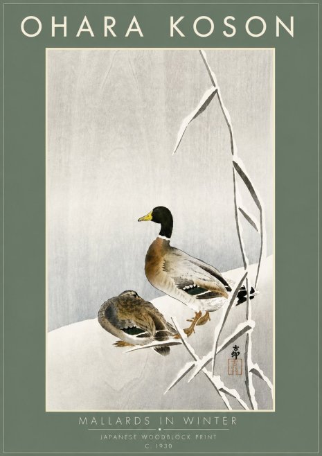 Ohara Koson Mallards in Winter No6 - Póster