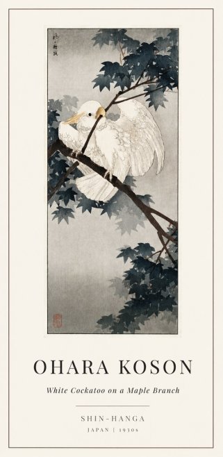 Ohara Koson White Cockatoo on a Maple Branch No1 - Póster