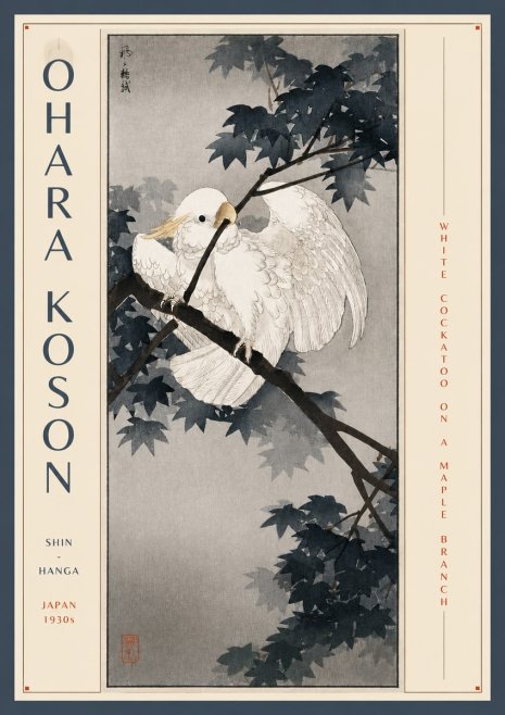 Ohara Koson White Cockatoo on a Maple Branch No3 - Póster