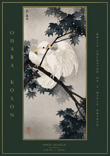 Ohara Koson White Cockatoo on a Maple Branch No5 - Póster