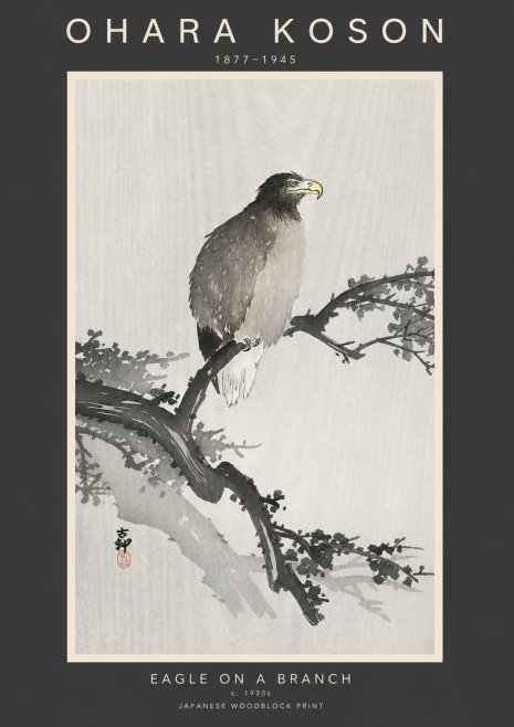 Ohara Koson Eagle on a Branch I No3 - Póster