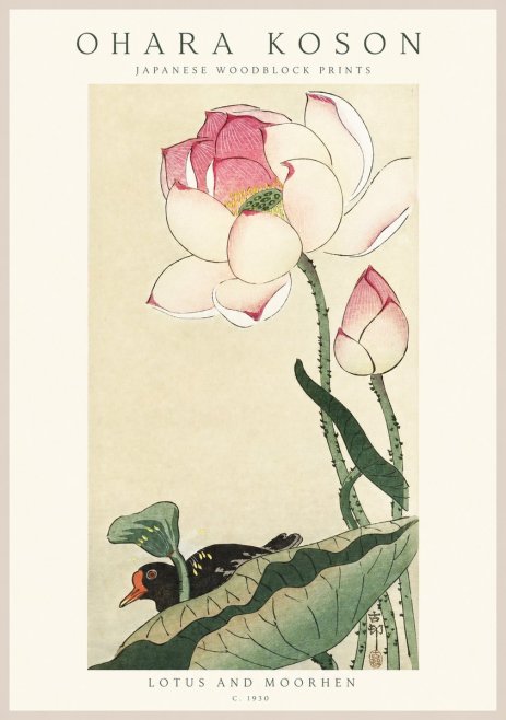 Ohara Koson Lotus and Moorhen No1 - Póster