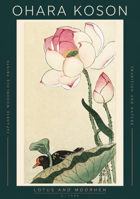 Ohara Koson Lotus and Moorhen No2 - Póster