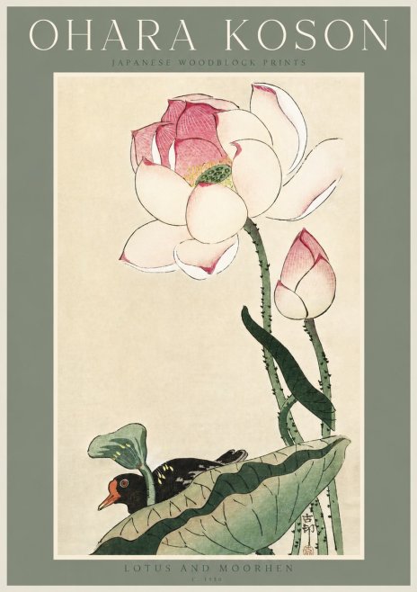 Ohara Koson Lotus and Moorhen No3 - Póster
