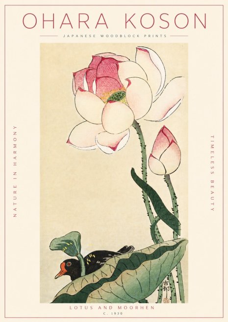 Ohara Koson Lotus and Moorhen No4 - Póster