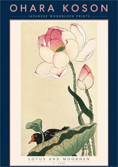 Ohara Koson Lotus and Moorhen No5 - Póster