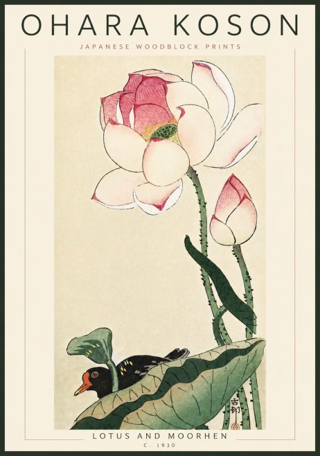 Ohara Koson Lotus and Moorhen No6 - Póster