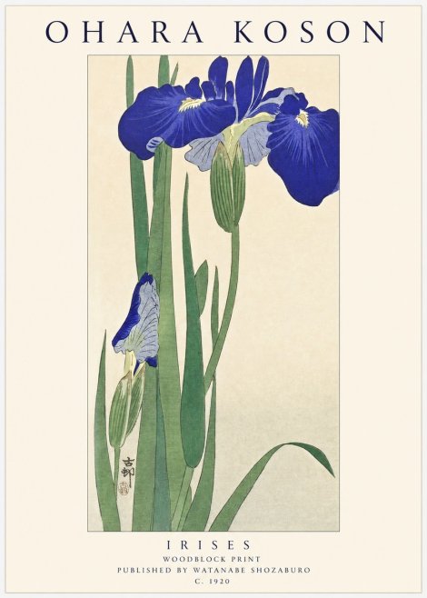Ohara Koson Irises I No1 - Póster
