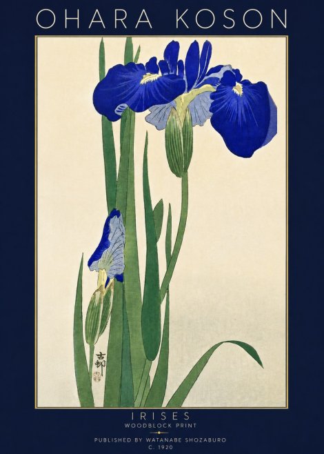 Ohara Koson Irises I No5 - Póster