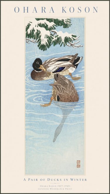 Ohara Koson A Pair of Ducks in Winter No1 - Póster