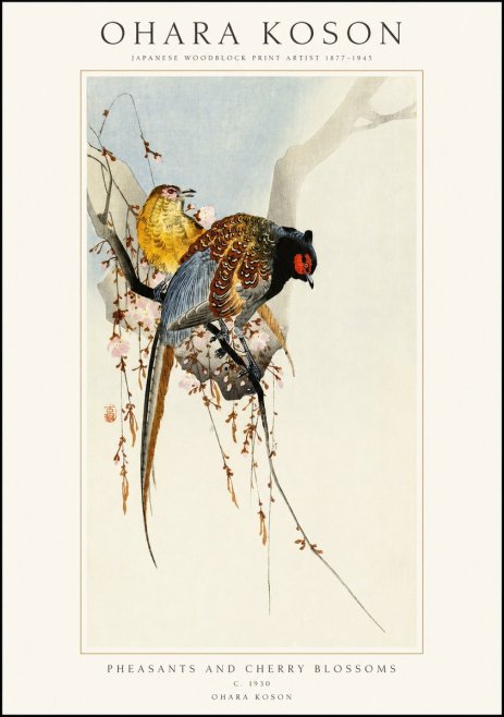 Ohara Koson Pheasants and Cherry Blossoms I No1 - Póster