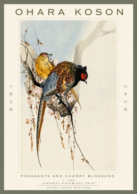 Ohara Koson Pheasants and Cherry Blossoms I No4 - Póster