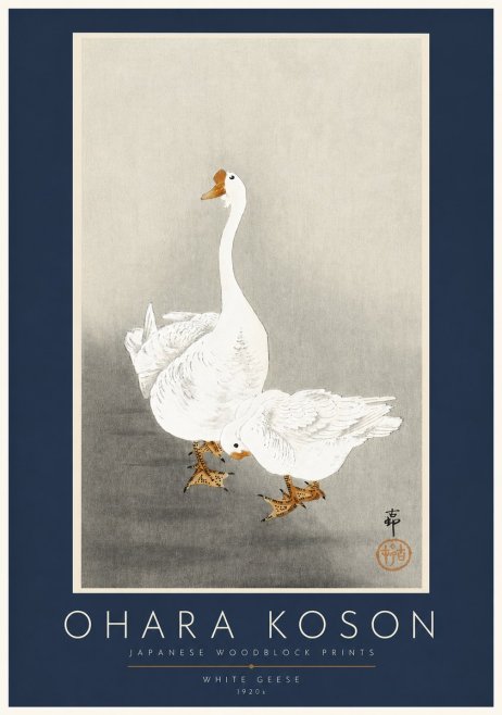 Ohara Koson White Geese No2 - Póster