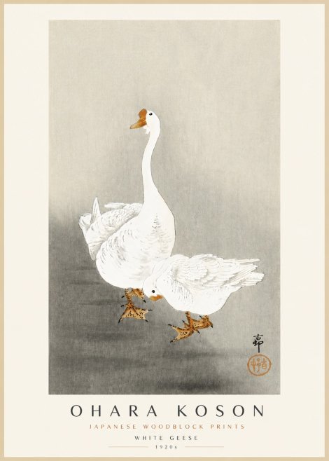 Ohara Koson White Geese No3 - Póster