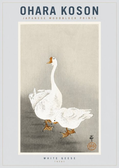 Ohara Koson White Geese No4 - Póster