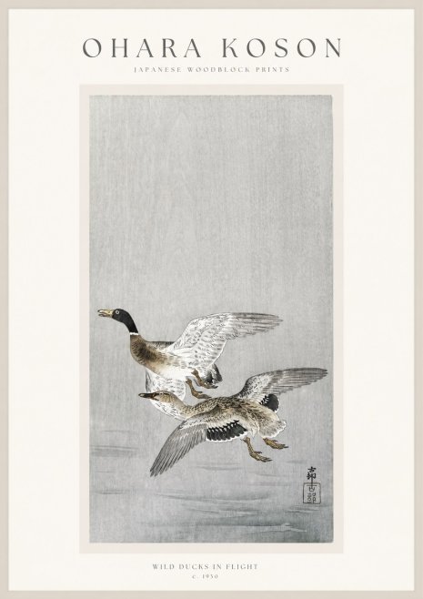 Ohara Koson Wild Ducks in Flight No1 - Póster