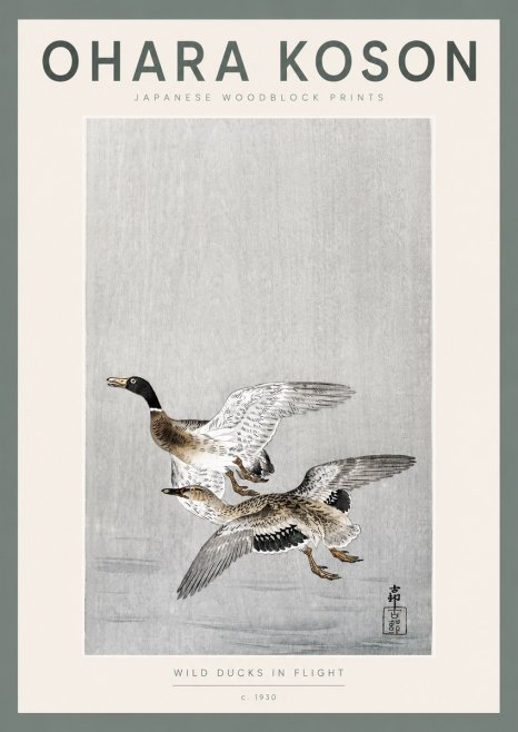 Ohara Koson Wild Ducks in Flight No2 - Póster
