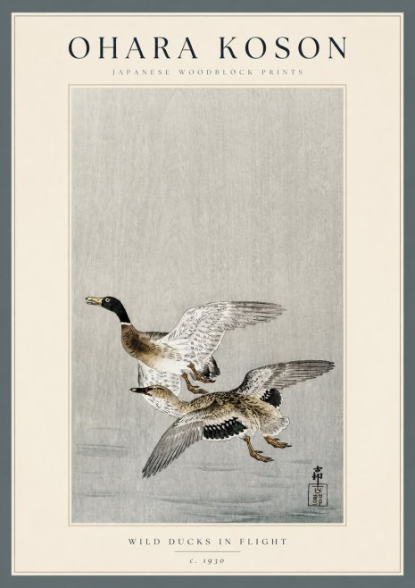 Ohara Koson Wild Ducks in Flight No3 - Póster
