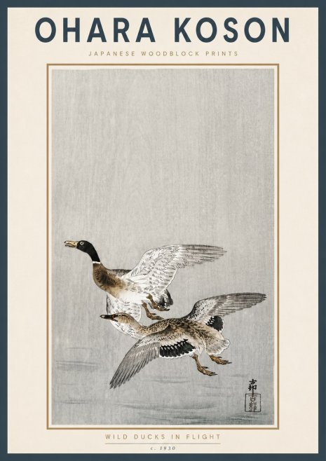 Ohara Koson Wild Ducks in Flight No4 - Póster