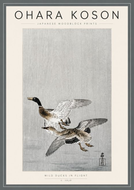 Ohara Koson Wild Ducks in Flight No5 - Póster