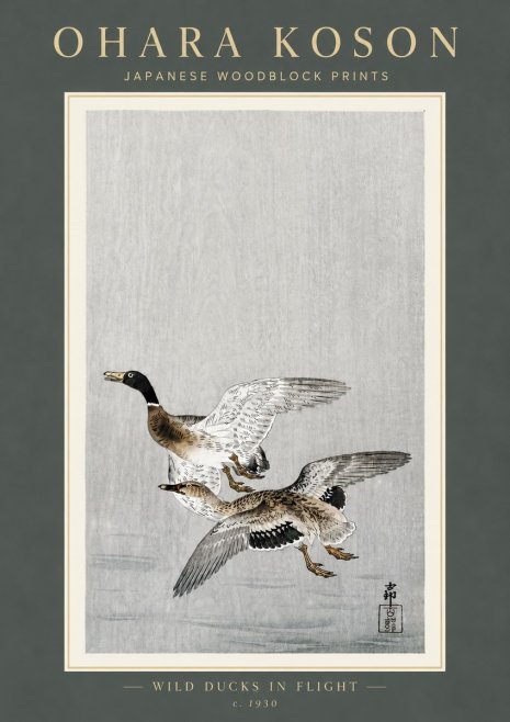 Ohara Koson Wild Ducks in Flight No6 - Póster