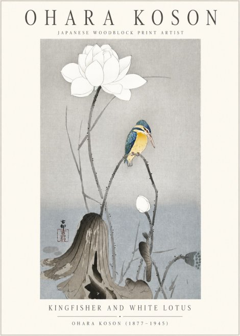 Ohara Koson Kingfisher and White Lotus No1 - Póster