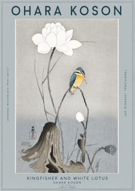 Ohara Koson Kingfisher and White Lotus No2 - Póster