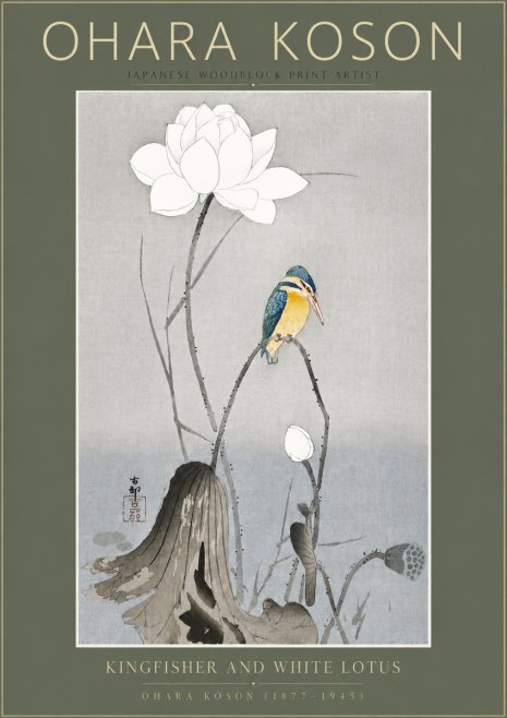 Ohara Koson Kingfisher and White Lotus No5 - Póster