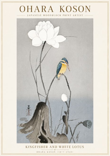 Ohara Koson Kingfisher and White Lotus No6 - Póster