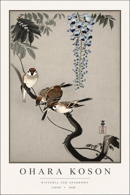 Ohara Koson Wisteria and Sparrows No3 - Póster