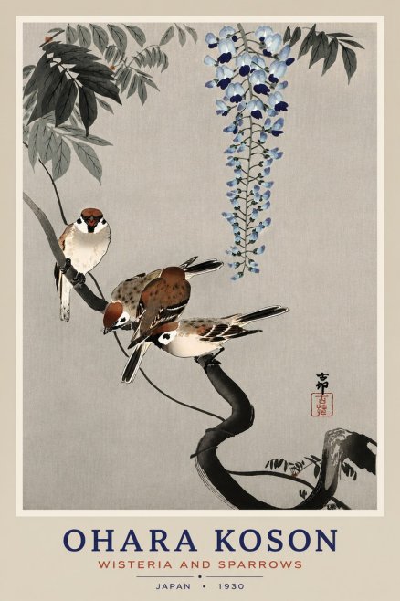 Ohara Koson Wisteria and Sparrows No4 - Póster