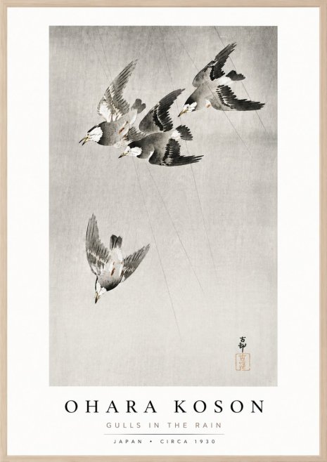 Ohara Koson Gulls in the Rain No3 - Póster