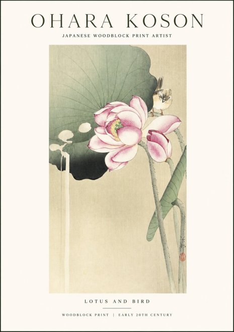 Ohara Koson Lotus and Bird No1 - Póster