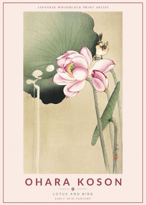 Ohara Koson Lotus and Bird No4 - Póster