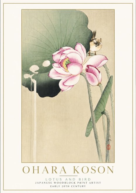 Ohara Koson Lotus and Bird No5 - Póster