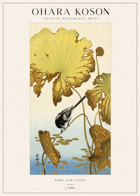 Ohara Koson Bird and Lotus No3 - Póster