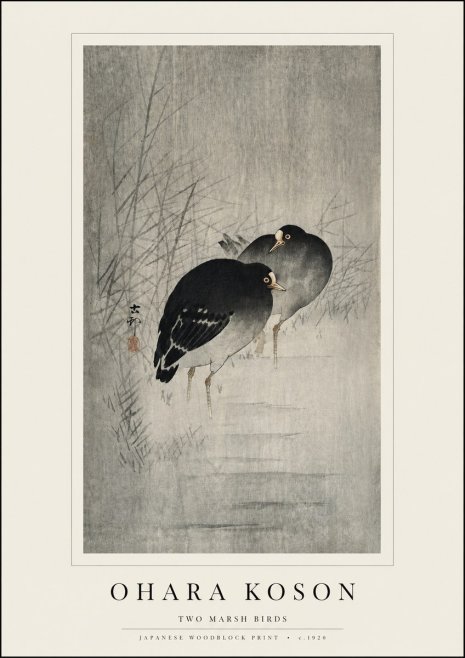 Ohara Koson Two Marsh Birds No3 - Póster